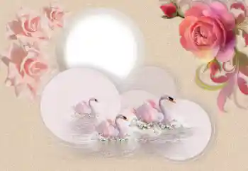 Fotoefect din categoria Rame foto pentru femei № 169231