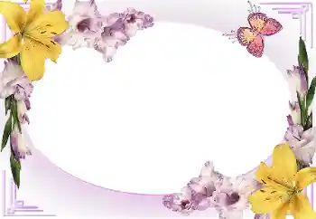 Fotoefect din categoria Rame foto pentru femei № 169245