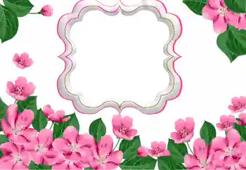 Fotoefect din categoria Rame foto pentru femei № 169271
