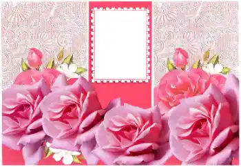 Fotoefect din categoria Rame foto pentru femei № 169272
