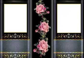 Fotoefect din categoria Rame foto pentru femei № 169323 Fotoefect din categoria Rame foto pentru femei № 169323