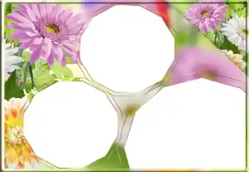 Fotoefect din categoria Rame foto pentru femei № 170418 Fotoefect din categoria Rame foto pentru femei № 170418