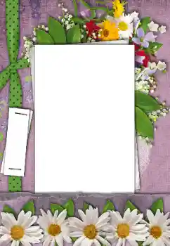 Fotoefect din categoria Rame foto pentru femei № 170521 Fotoefect din categoria Rame foto pentru femei № 170521