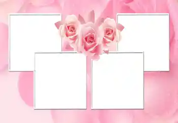 Fotoefect din categoria Rame foto pentru femei № 170544 Fotoefect din categoria Rame foto pentru femei № 170544