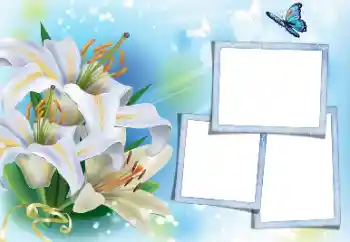 Fotoefect din categoria Rame foto pentru femei № 171813 Fotoefect din categoria Rame foto pentru femei № 171813