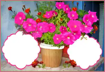 Fotoefect din categoria Rame foto pentru femei № 172978 Fotoefect din categoria Rame foto pentru femei № 172978