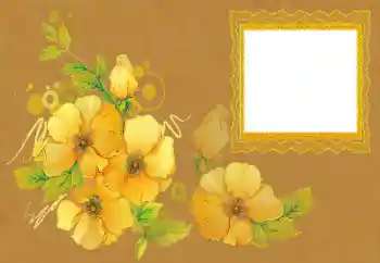 Fotoefect din categoria Rame foto pentru femei № 172996