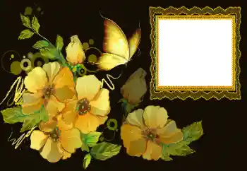 Fotoefect din categoria Rame foto pentru femei № 172997