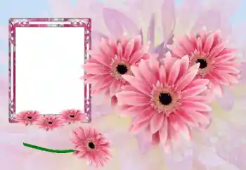 Fotoefect din categoria Rame foto pentru femei № 173021