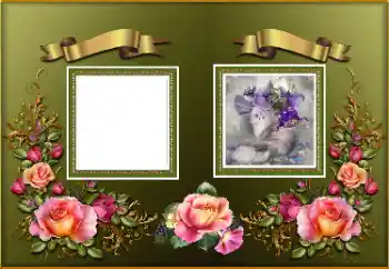 Fotoefect din categoria Rame foto pentru femei № 174094