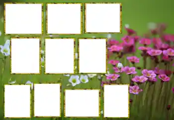 Fotoefect din categoria Rame foto pentru femei № 174173
