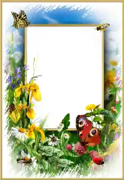 Fotoefect din categoria Rame foto pentru femei № 175352