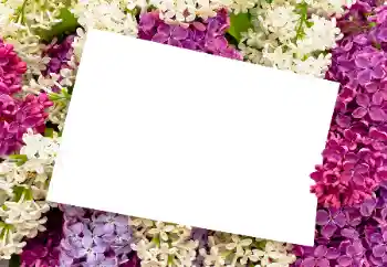 Fotoefect din categoria Rame foto pentru femei № 175408