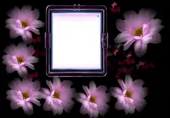 Fotoefect din categoria Rame foto pentru femei № 175502