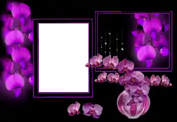 Fotoefect din categoria Rame foto pentru femei № 175544