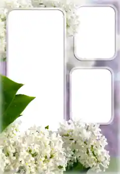Fotoefect din categoria Rame foto pentru femei № 176613