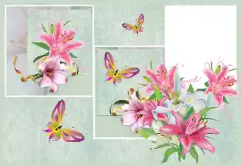 Fotoefect din categoria Rame foto pentru femei № 176820 Fotoefect din categoria Rame foto pentru femei № 176820