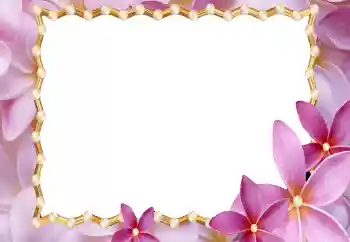 Fotoefect din categoria Rame foto pentru femei № 177920 Fotoefect din categoria Rame foto pentru femei № 177920