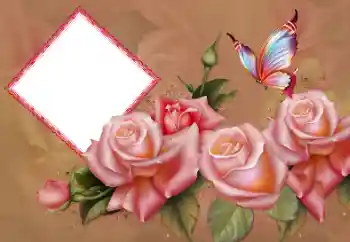 Fotoefect din categoria Rame foto pentru femei № 178101