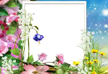 Fotoefect din categoria Rame foto pentru femei № 178206