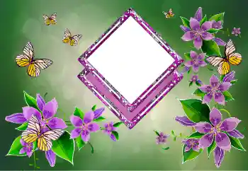 Fotoefect din categoria Rame foto pentru femei № 178292 Fotoefect din categoria Rame foto pentru femei № 178292