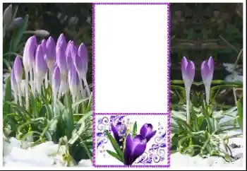 Fotoefect din categoria Rame foto pentru femei № 179360 Fotoefect din categoria Rame foto pentru femei № 179360
