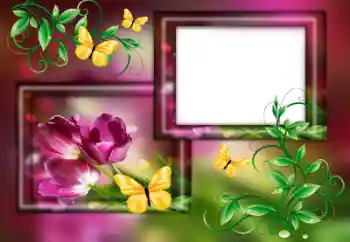 Fotoefect din categoria Rame foto pentru femei № 179563 Fotoefect din categoria Rame foto pentru femei № 179563