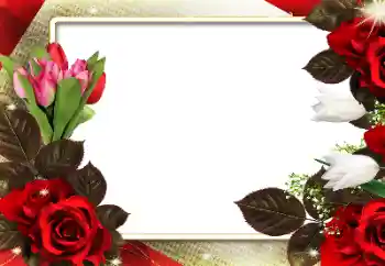Fotoefect din categoria Rame foto pentru femei № 180712 Fotoefect din categoria Rame foto pentru femei № 180712