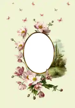 Fotoefect din categoria Rame foto pentru femei № 180747 Fotoefect din categoria Rame foto pentru femei № 180747