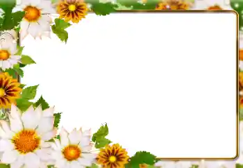 Fotoefect din categoria Rame foto pentru femei № 180831 Fotoefect din categoria Rame foto pentru femei № 180831