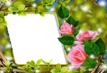 Fotoefect din categoria Rame foto pentru femei № 180860 Fotoefect din categoria Rame foto pentru femei № 180860
