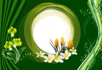 Fotoefect din categoria Rame foto pentru femei № 180910 Fotoefect din categoria Rame foto pentru femei № 180910