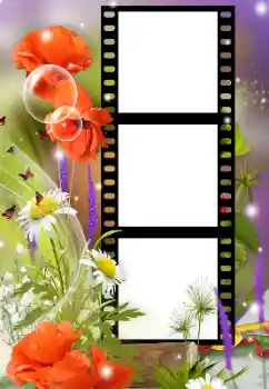 Fotoefect din categoria Rame foto pentru femei № 180921 Fotoefect din categoria Rame foto pentru femei № 180921