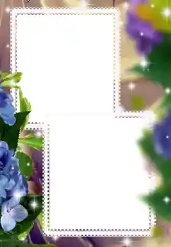 Fotoefect din categoria Rame foto pentru femei № 182073 Fotoefect din categoria Rame foto pentru femei № 182073