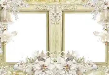 Fotoefect din categoria Rame foto pentru femei № 182139