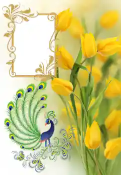 Fotoefect din categoria Rame foto pentru femei № 182161