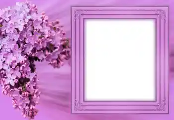 Fotoefect din categoria Rame foto pentru femei № 183304