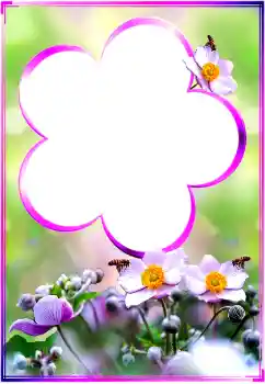 Fotoefect din categoria Rame foto pentru femei № 183360