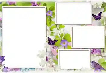 Fotoefect din categoria Rame foto pentru femei № 183388