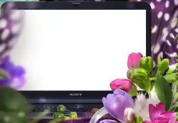 Fotoefect din categoria Rame foto pentru femei № 183389