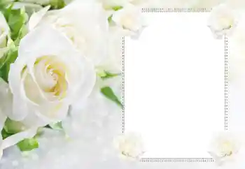 Fotoefect din categoria Rame foto pentru femei № 183434