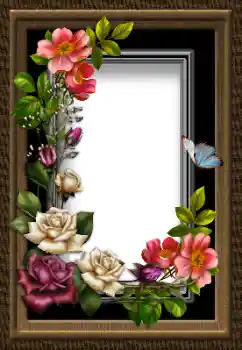 Fotoefect din categoria Rame foto pentru femei № 183484