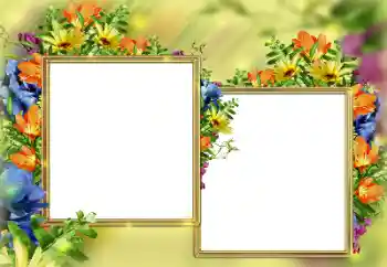 Fotoefect din categoria Rame foto pentru femei № 184579 Fotoefect din categoria Rame foto pentru femei № 184579