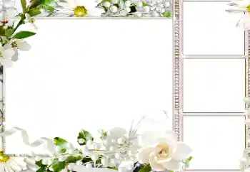 Fotoefect din categoria Rame foto pentru femei № 184586 Fotoefect din categoria Rame foto pentru femei № 184586