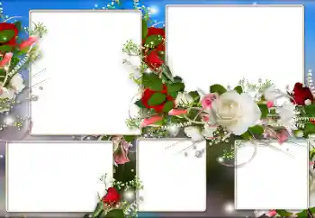 Fotoefect din categoria Rame foto pentru femei № 184590 Fotoefect din categoria Rame foto pentru femei № 184590