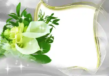 Fotoefect din categoria Rame foto pentru femei № 185965 Fotoefect din categoria Rame foto pentru femei № 185965