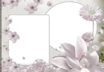 Fotoefect din categoria Rame foto pentru femei № 188139 Fotoefect din categoria Rame foto pentru femei № 188139