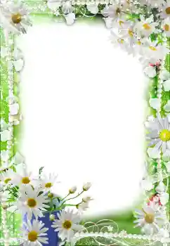 Fotoefect din categoria Rame foto pentru femei № 188140 Fotoefect din categoria Rame foto pentru femei № 188140