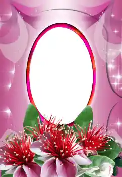 Fotoefect din categoria Rame foto pentru femei № 188238