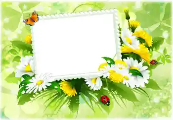 Fotoefect din categoria Rame foto pentru femei № 189302